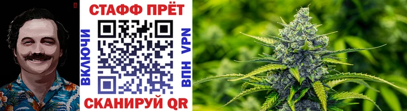 Магазины продажи наркотиков Полярные Зори Галлюциногенные грибы  Амфетамин  ГАШИШ  Каннабис  Меф мяу мяу  Alpha-PVP 