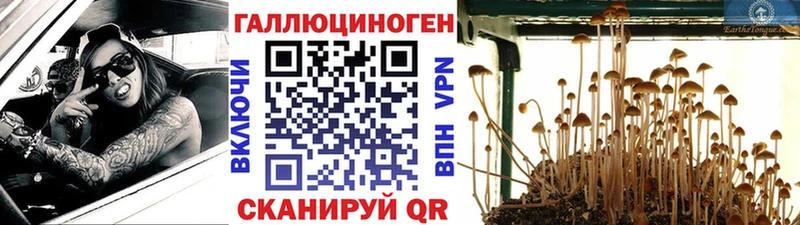 Псилоцибиновые грибы Magic Shrooms  Полярные Зори 